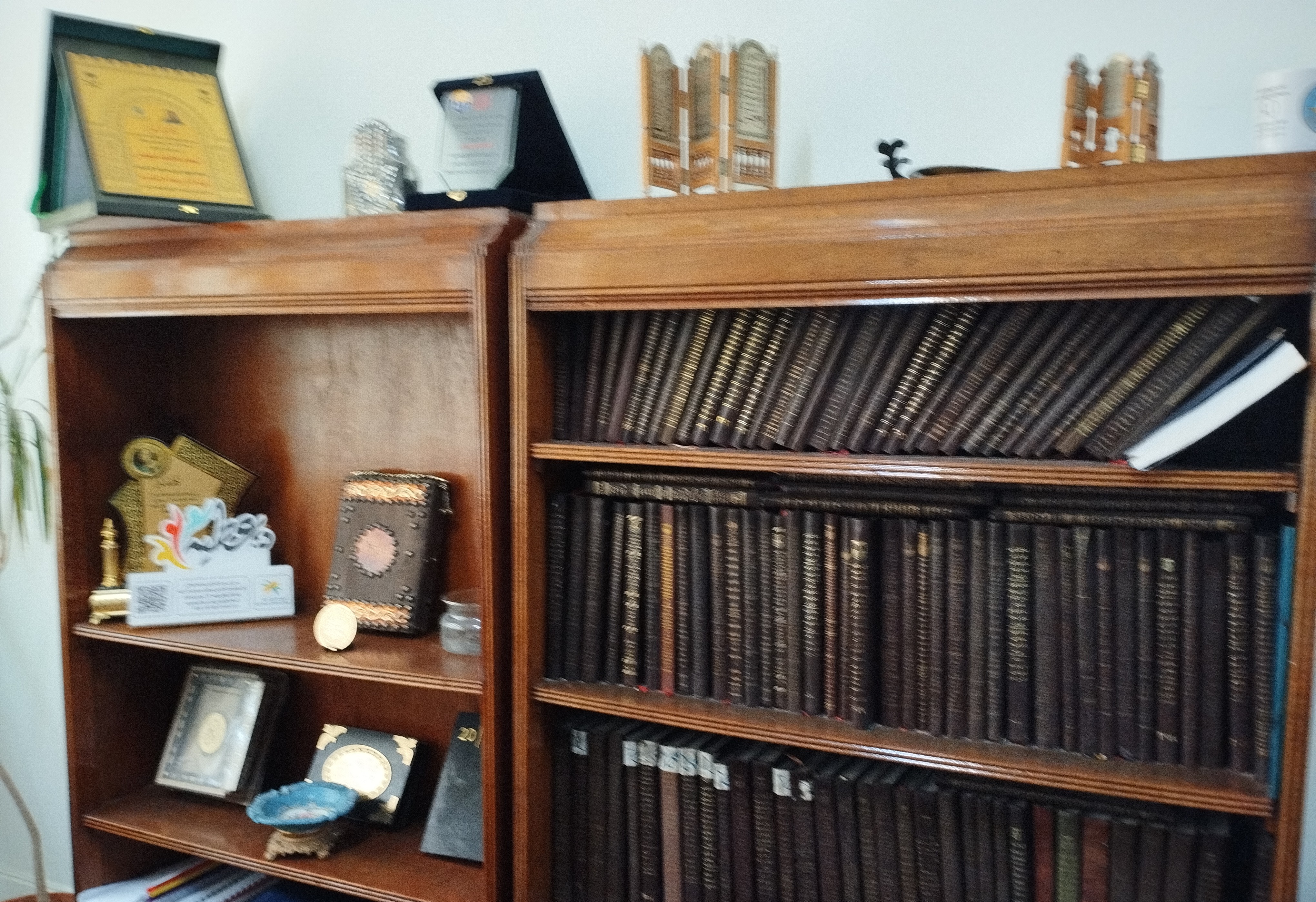 معهد العلوم الاجتماعية بالإسكندرية