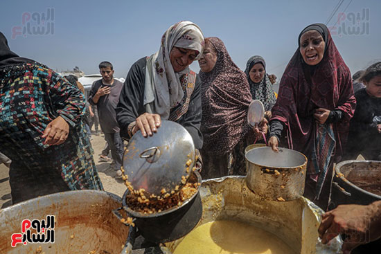 توزيع الطعام على النازحين فى غزة توزيع الطعام على النازحين فى غزة