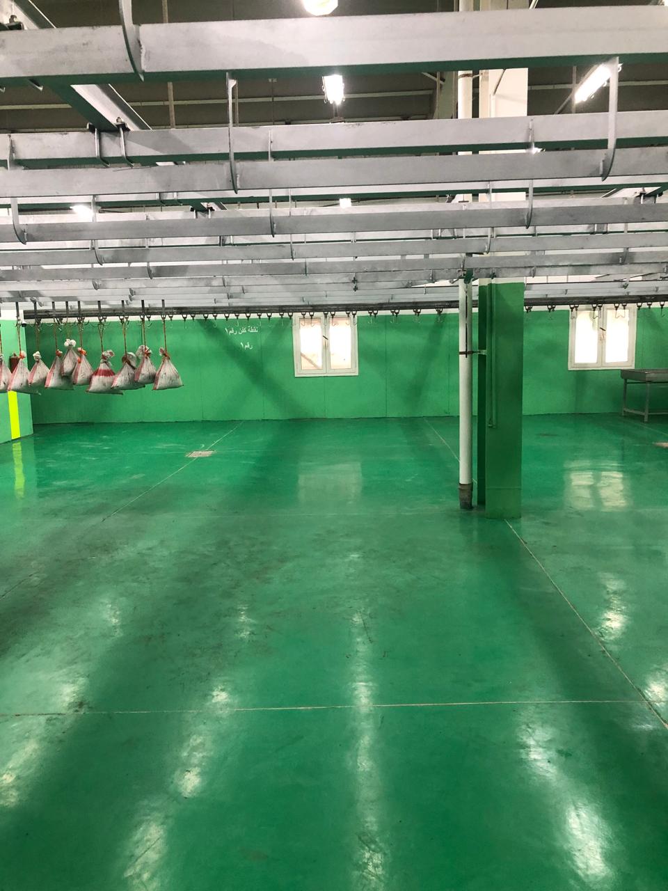 مشروع الأضاحي السعودي (1)