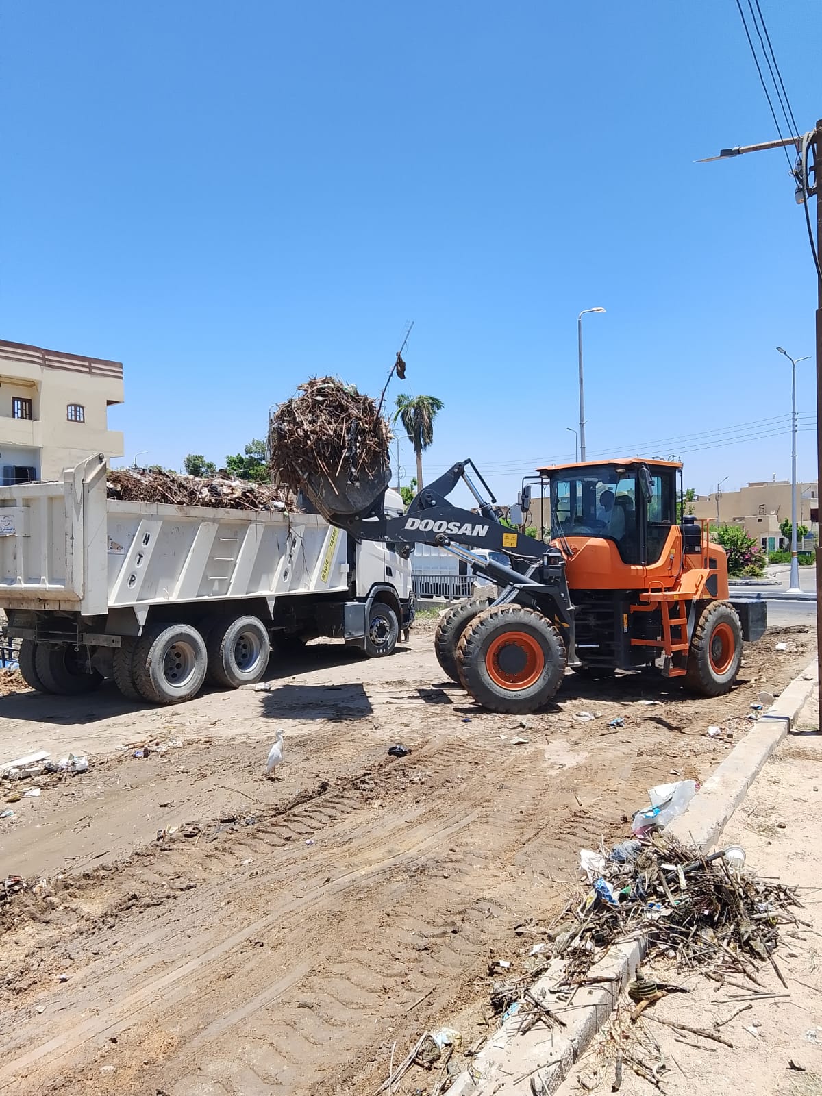 رفع 15 طن قمامة وأتربة وتراكمات خلال حملة نظافة بحي مطار الأقصر رفع 15 طن قمامة وأتربة وتراكمات خلال حملة نظافة بحي مطار الأقصر