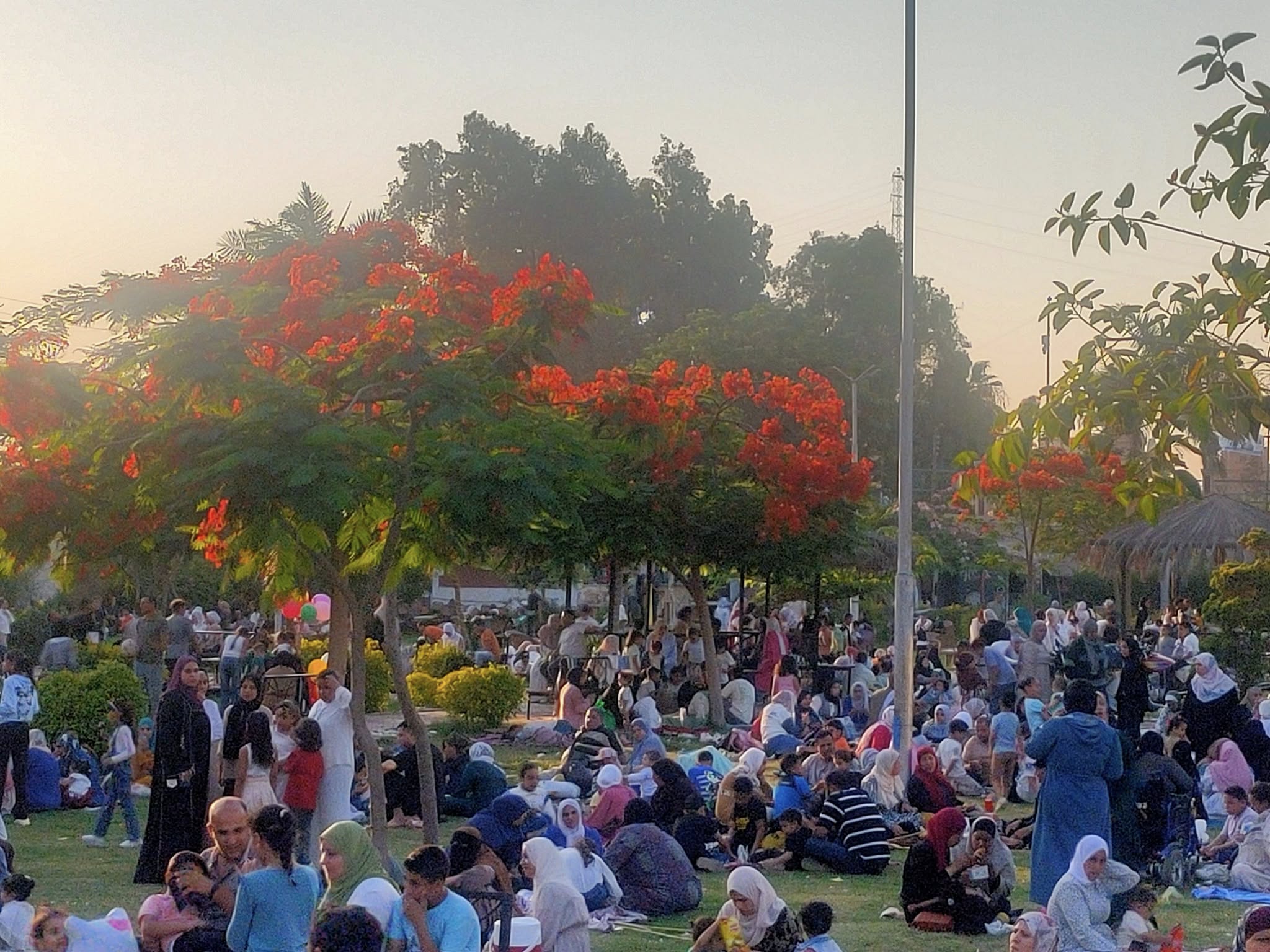 الأجواء الرائعة الأجواء الرائعة