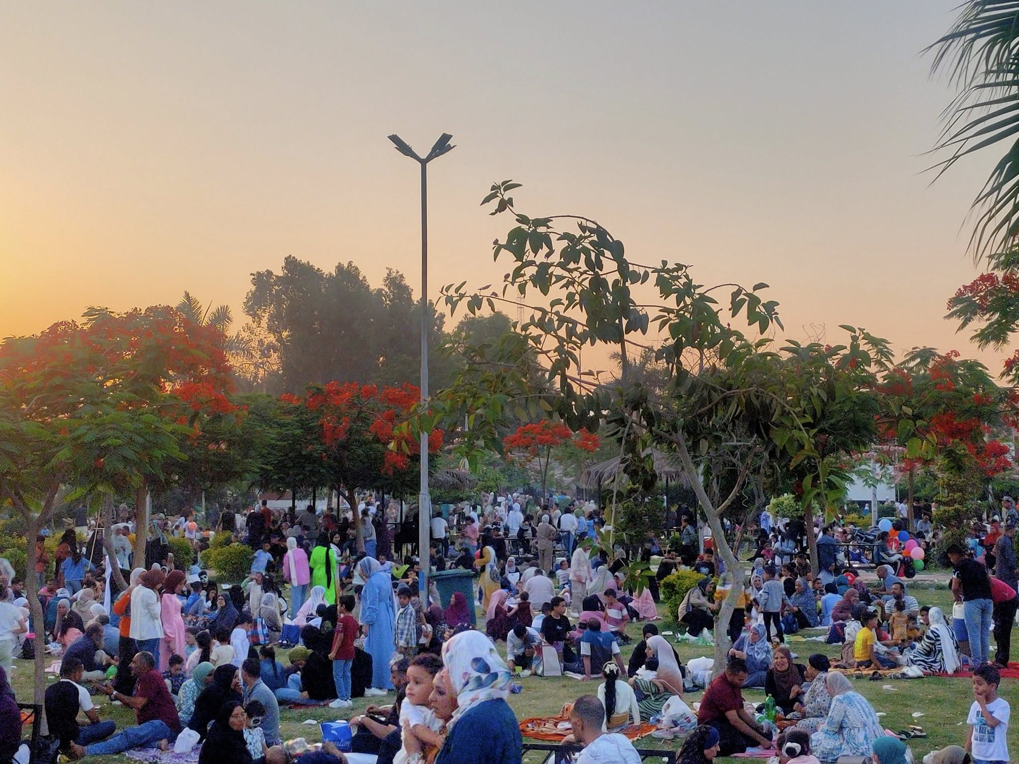 الإقبال على الحدائق الإقبال على الحدائق