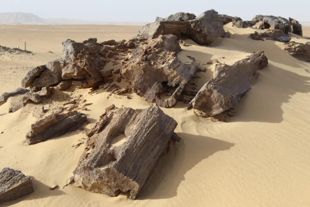 جانب من الصوامع جانب من الصوامع