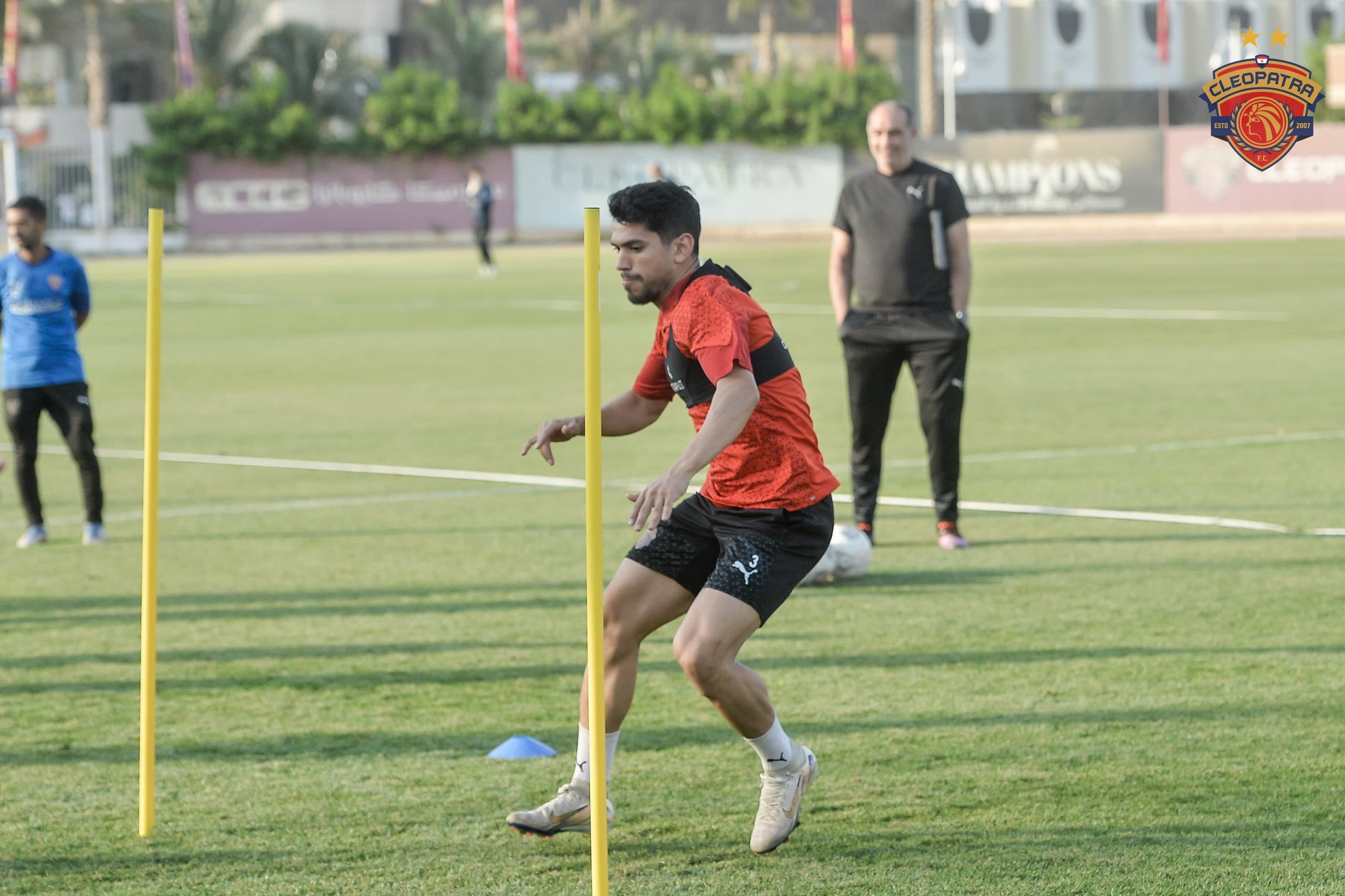 شكرى شكرى