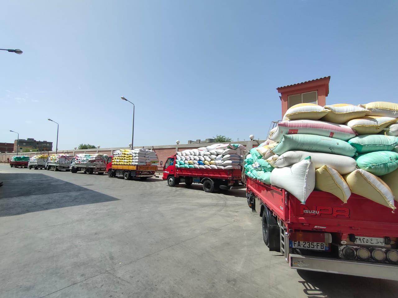 توريد محصول القمح بالبحيرة توريد محصول القمح بالبحيرة