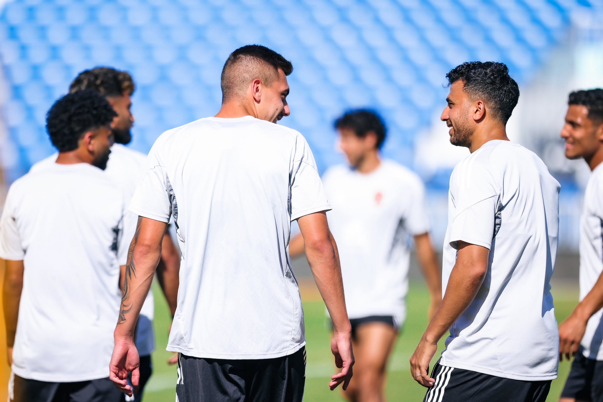 تريزيجيه وجراديشار تريزيجيه وجراديشار