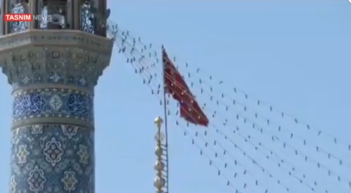 الراية
