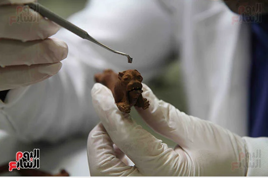 خلال ترميم ألعاب الملك توت عنخ آمون