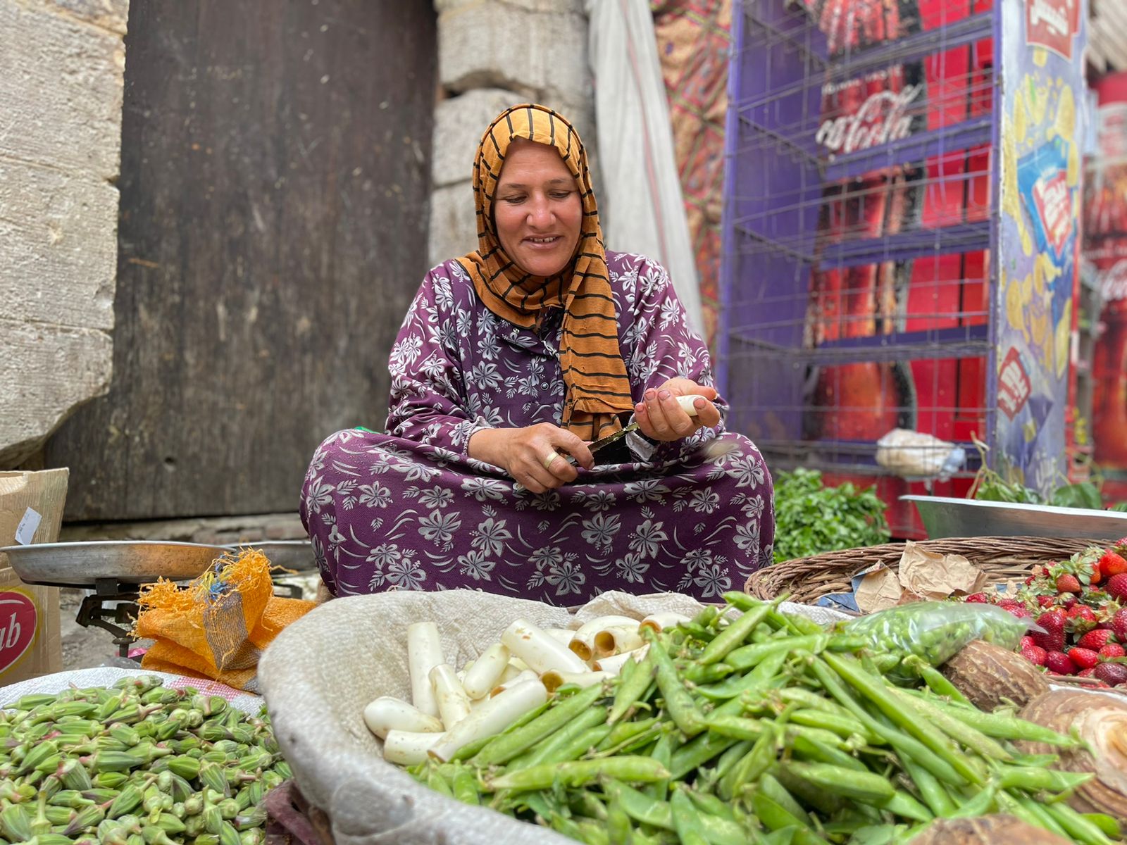 هبة إبراهيم