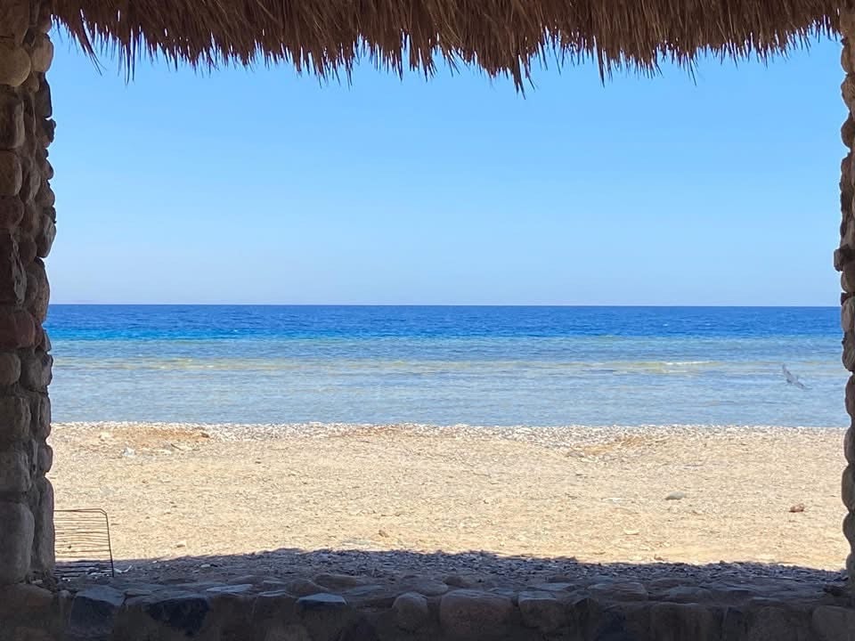 الثروة السمكية الثروة السمكية