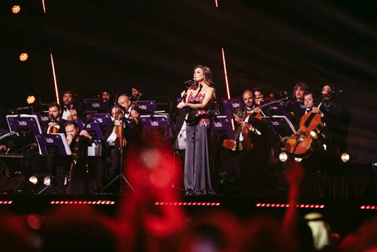 حفل الفنانة انغام (3)