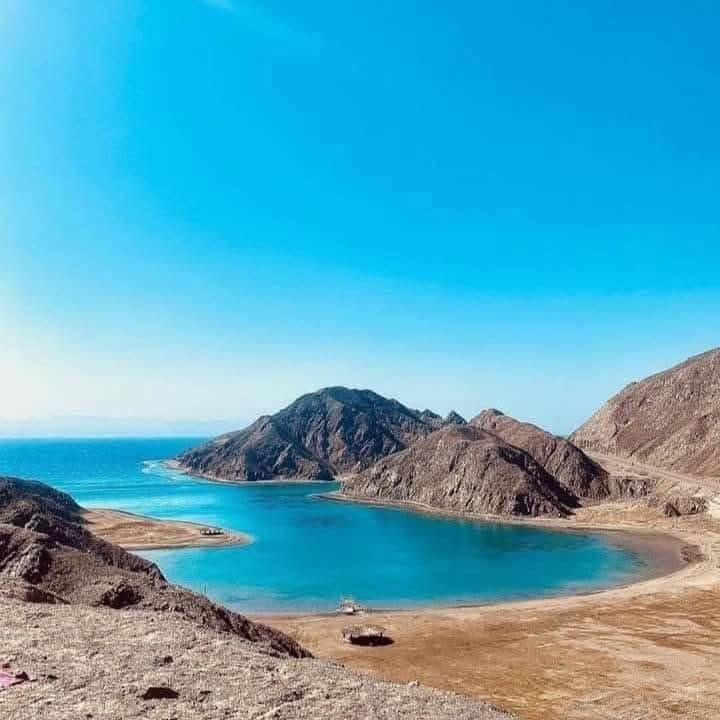 الثروة السمكية الثروة السمكية