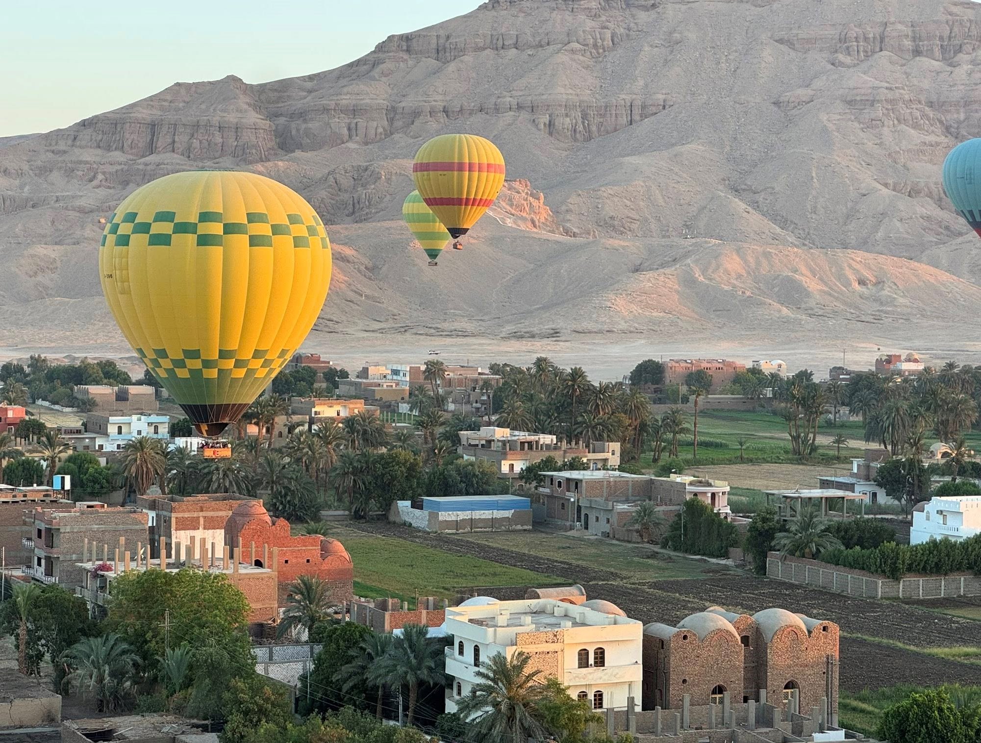 البالونات الطائرة فوق المنازل والطبيعة الخضراء البالونات الطائرة فوق المنازل والطبيعة الخضراء