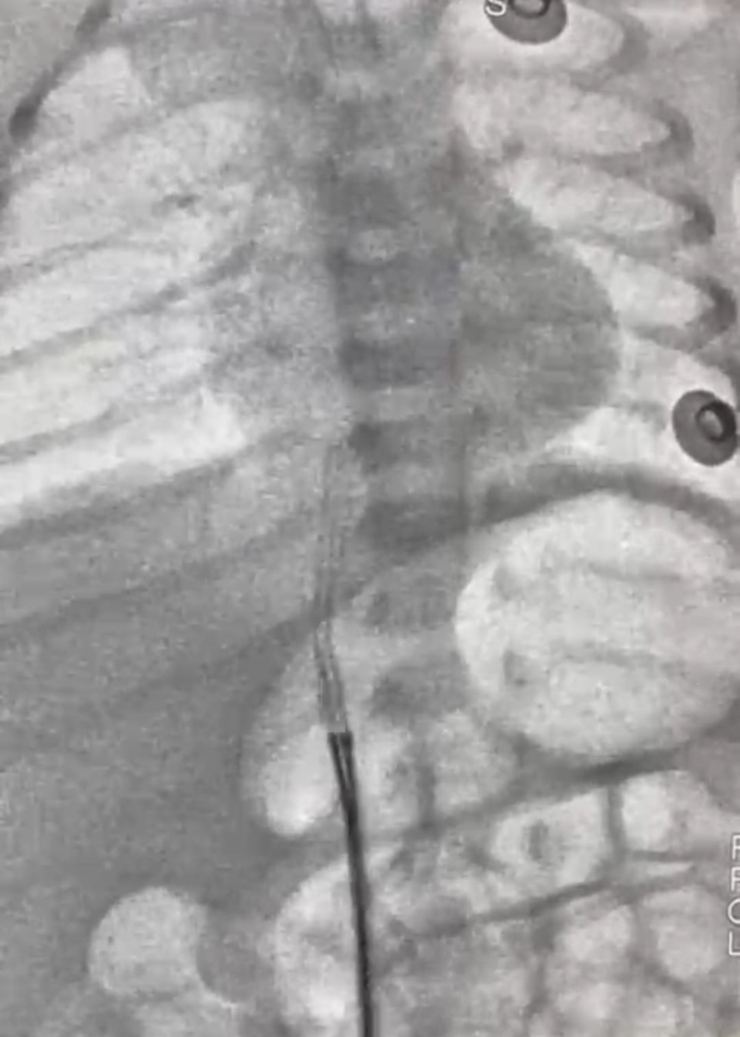 WhatsApp Image 2025-06-14 at 12.50.38 PM