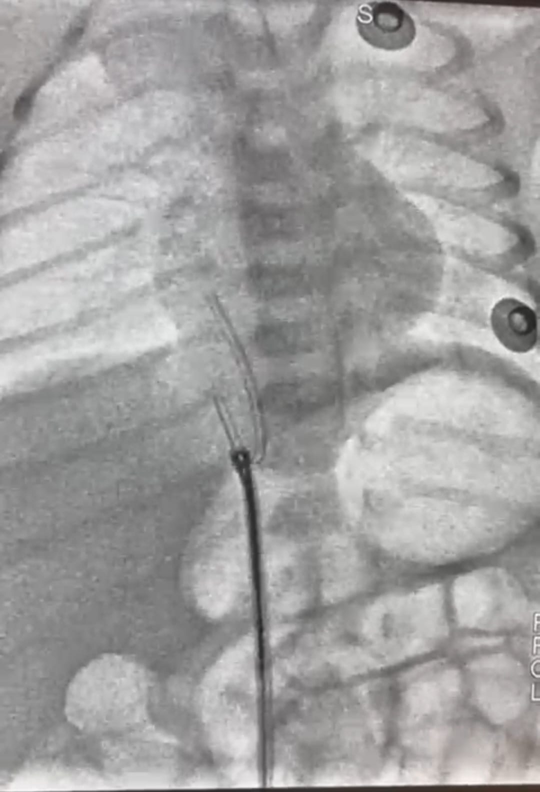 WhatsApp Image 2025-06-14 at 12.50.37 PM