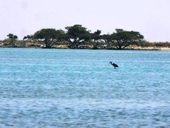 الطبيعة ترسم لوحة فنية الطبيعة ترسم لوحة فنية