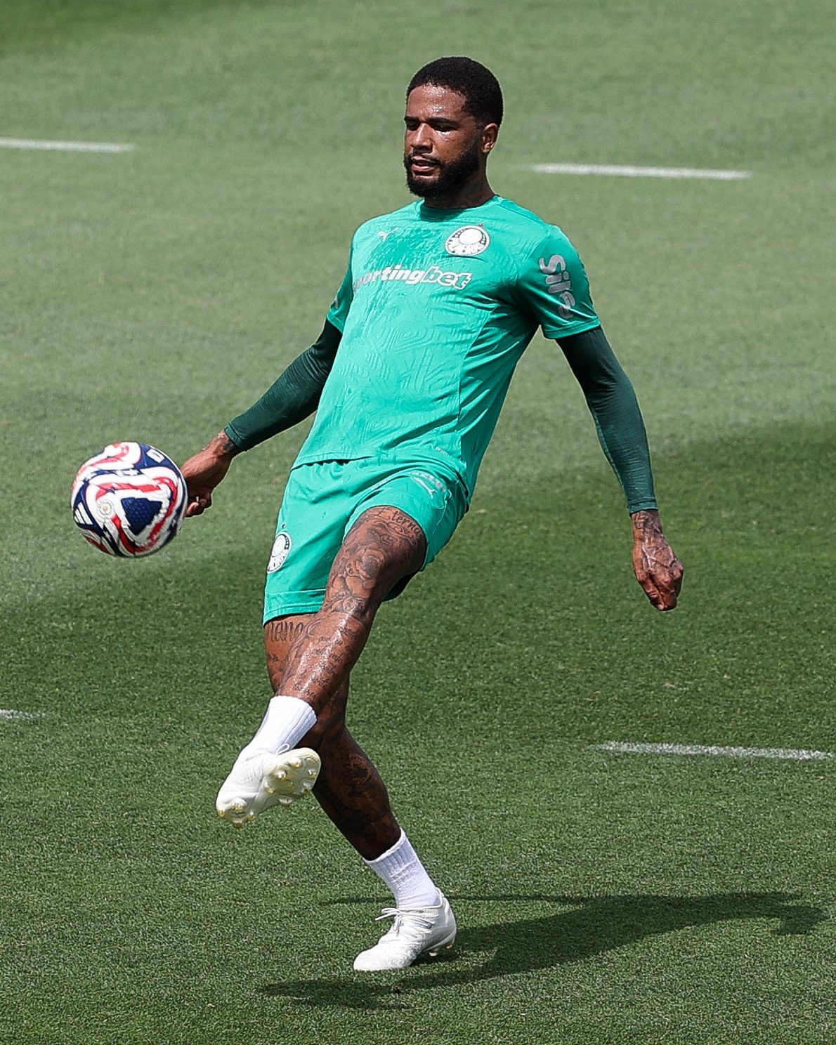 مران بالميراس البرازيلي استعدادا لمباراة الأهلي في كأس العالم للأندية (2)