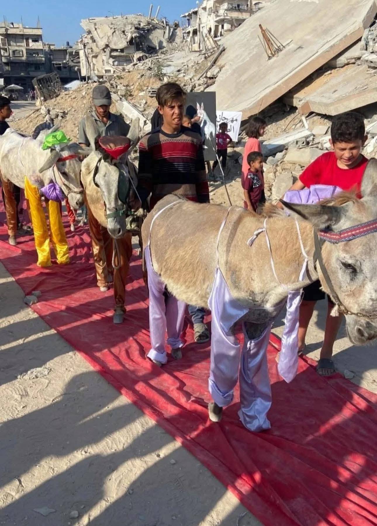 أصحاب الحمير في غزة أصحاب الحمير في غزة