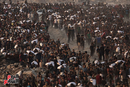 معاناة أهالى غزة للحصول على المساعدات معاناة أهالى غزة للحصول على المساعدات