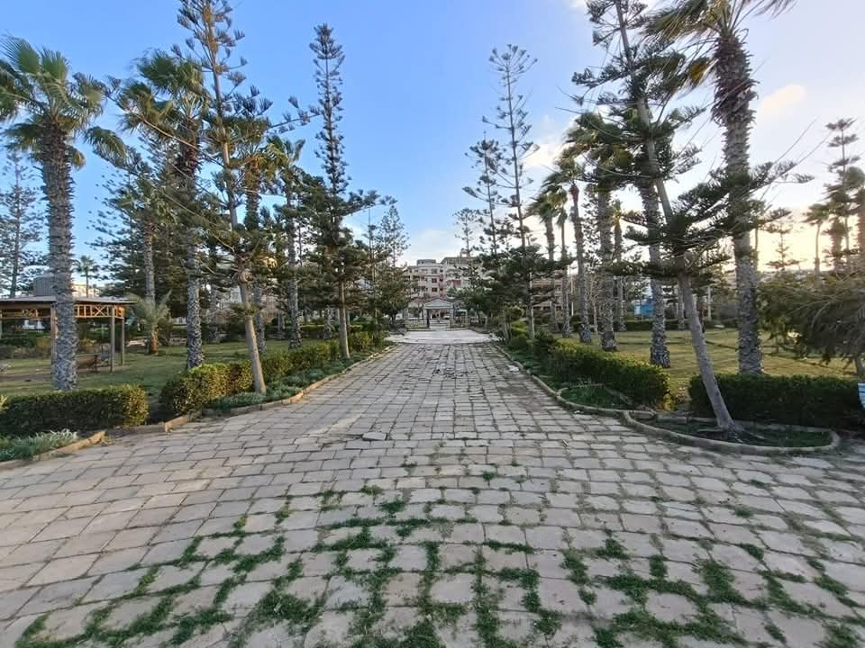 حدائق مدينة جمصة بعد التطوير حدائق مدينة جمصة بعد التطوير