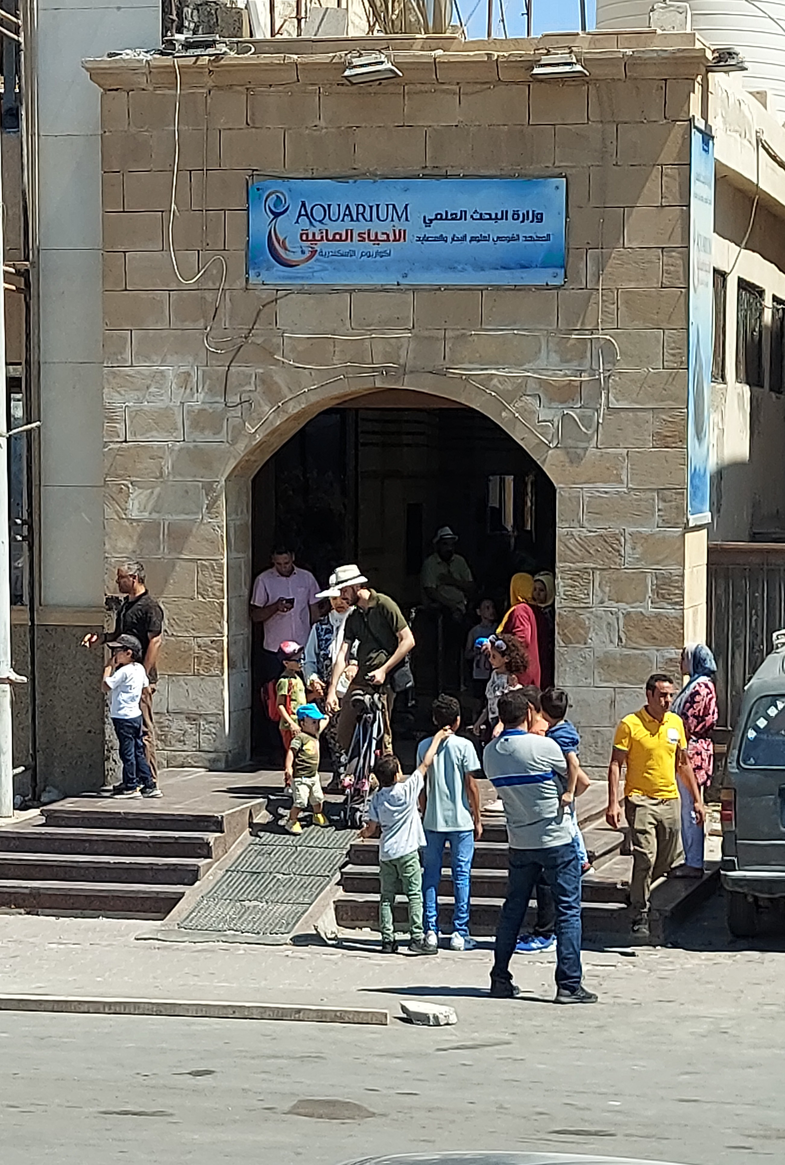 متحف الاحياء المائية (1)