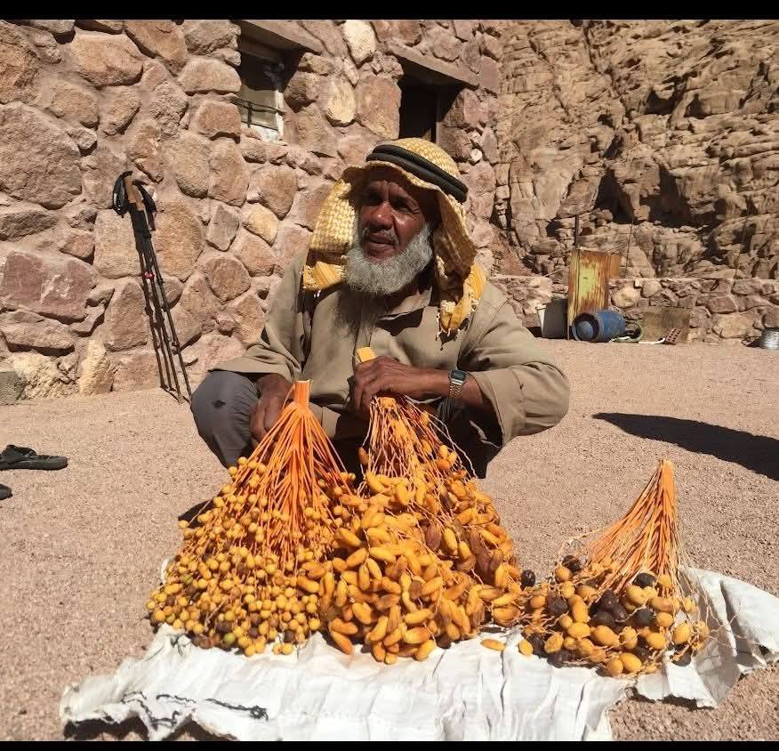 انتاج سانت كاترين