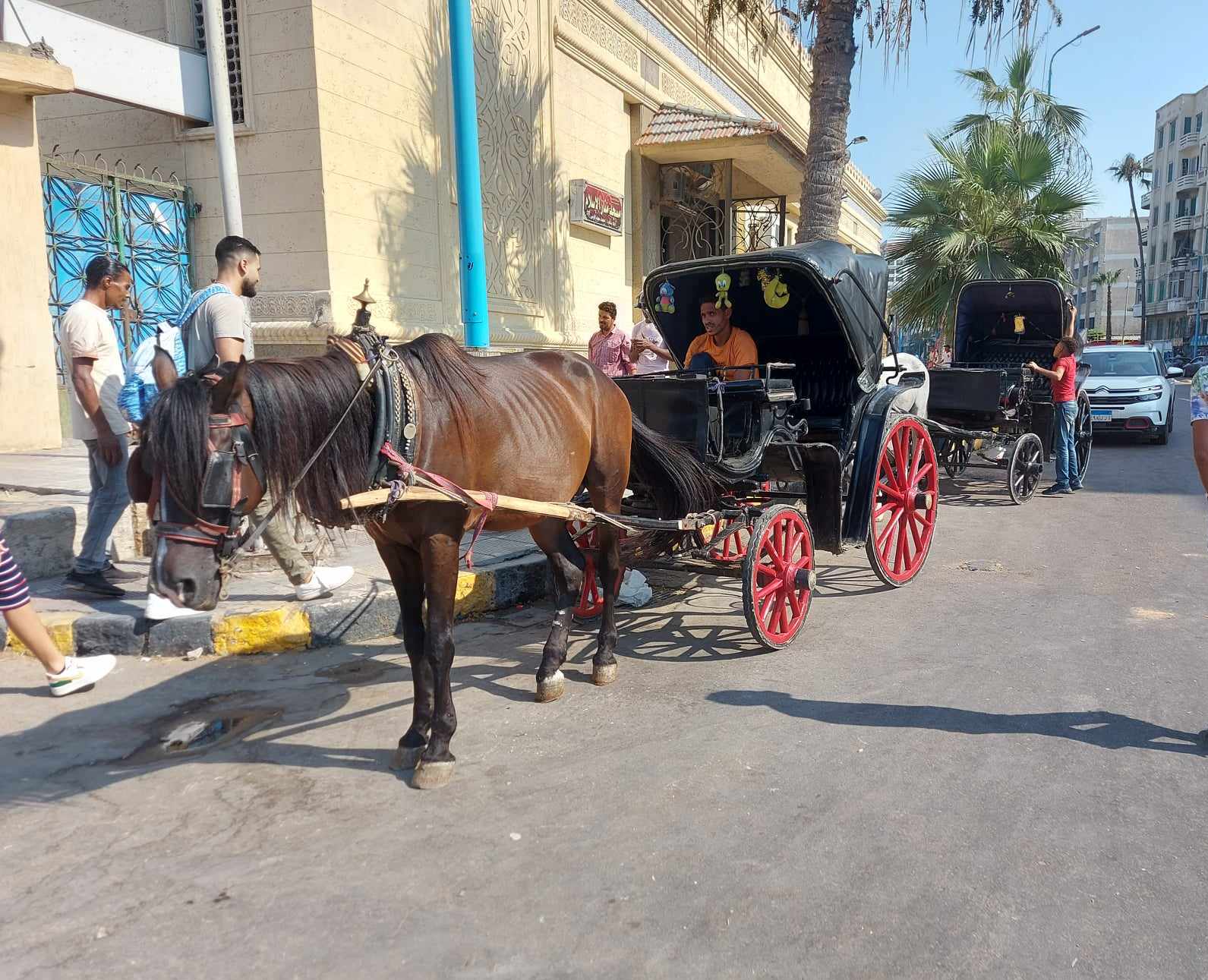 اصطفاف عربات الحنطور اصطفاف عربات الحنطور