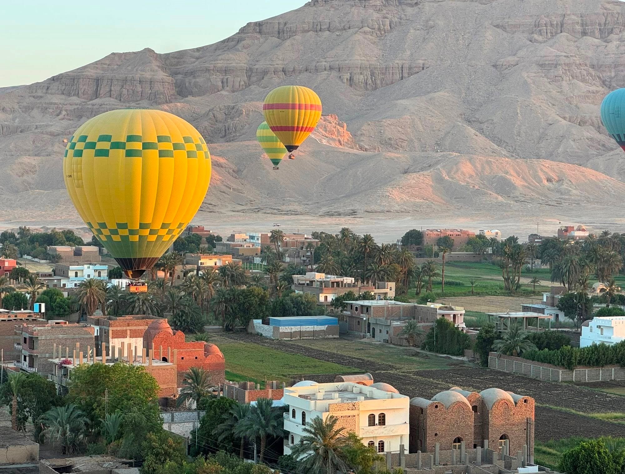 البالونات الطائرة فوق المنازل والطبيعة الخضراء البالونات الطائرة فوق المنازل والطبيعة الخضراء