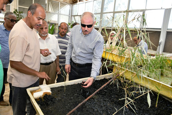 رئيس-الجامعة-يتفقد-عنابر-الماعز