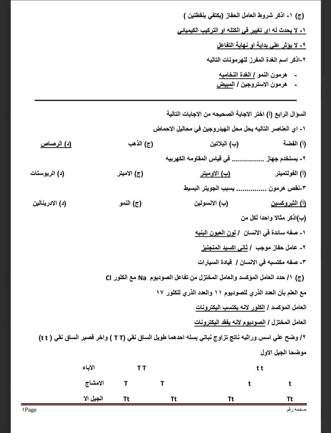 نموذج استرشادى 8