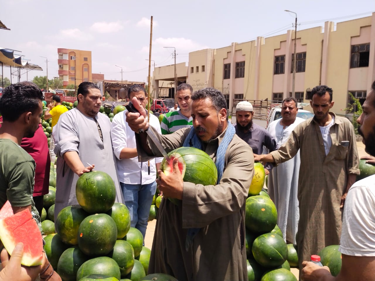 تقطيع البطيخ_1 تقطيع البطيخ_1