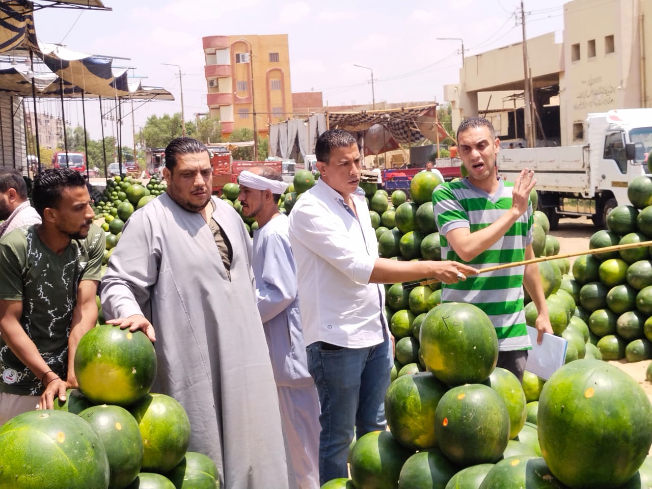 التجهيز للمزاد التجهيز للمزاد