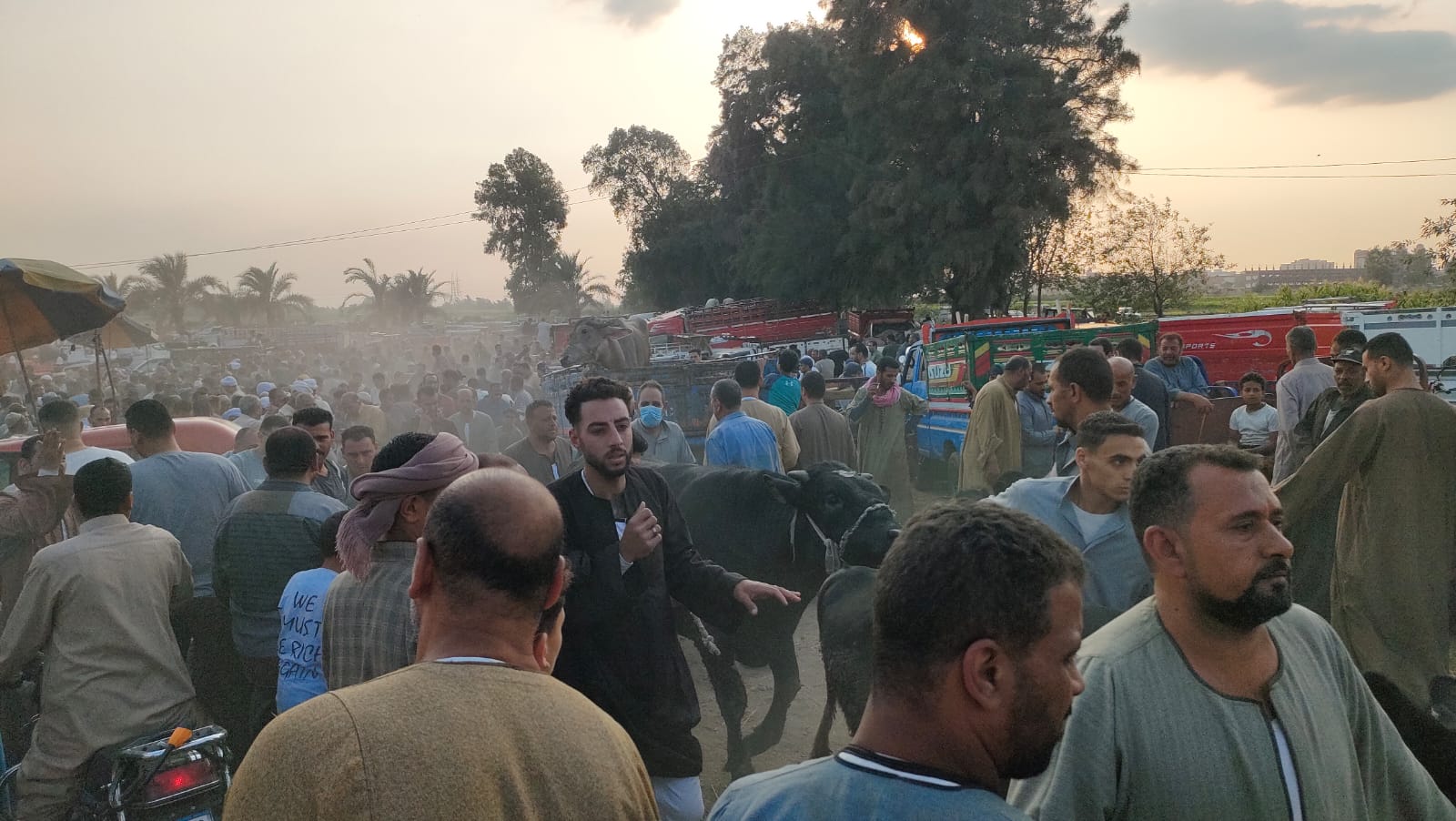السوق السوق