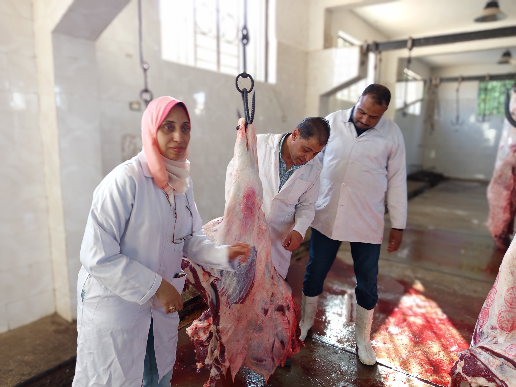 متابعة توافر كافة الاشتراطات الصحية بالمجازر قبل عيد الاضحى