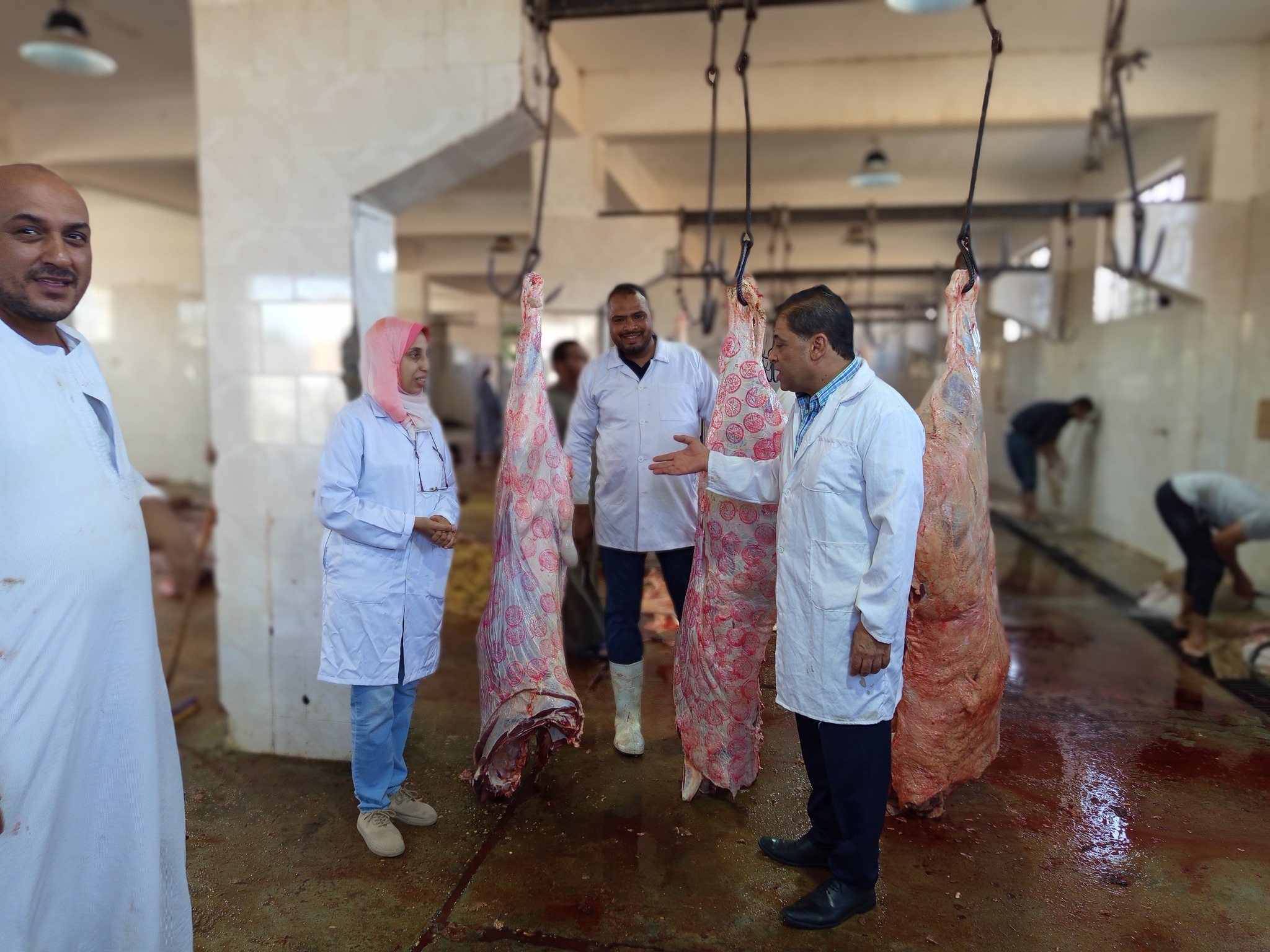 جولة لمتابعة إستعدادات المجازر لعيد الأضحى المبارك