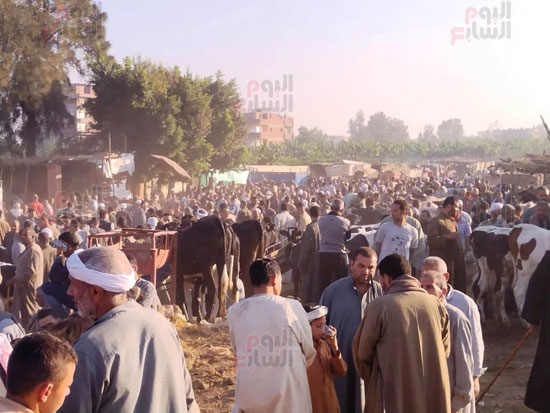 الزحام-بالوسق_1 الزحام-بالوسق_1