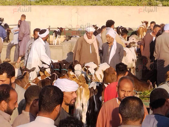منطقة-البتلو منطقة-البتلو