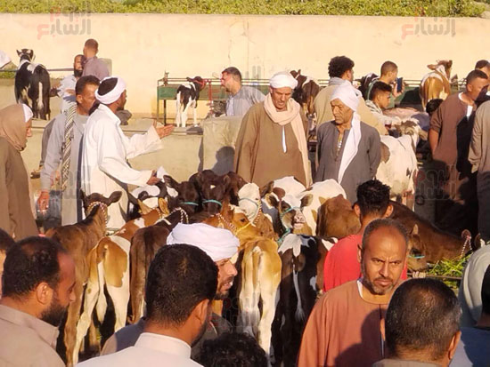 البتلو البتلو