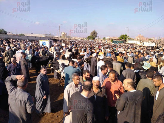 زحام-كبير-جدا-بالسوق زحام-كبير-جدا-بالسوق