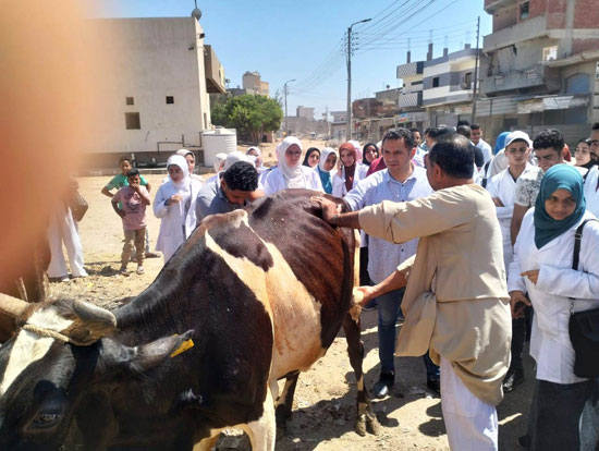 جانب من القافلة البيطرية