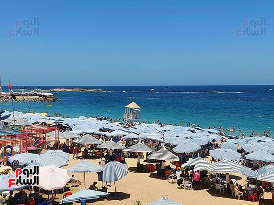 المصطافين-على-الشواطئ- المصطافين-على-الشواطئ-