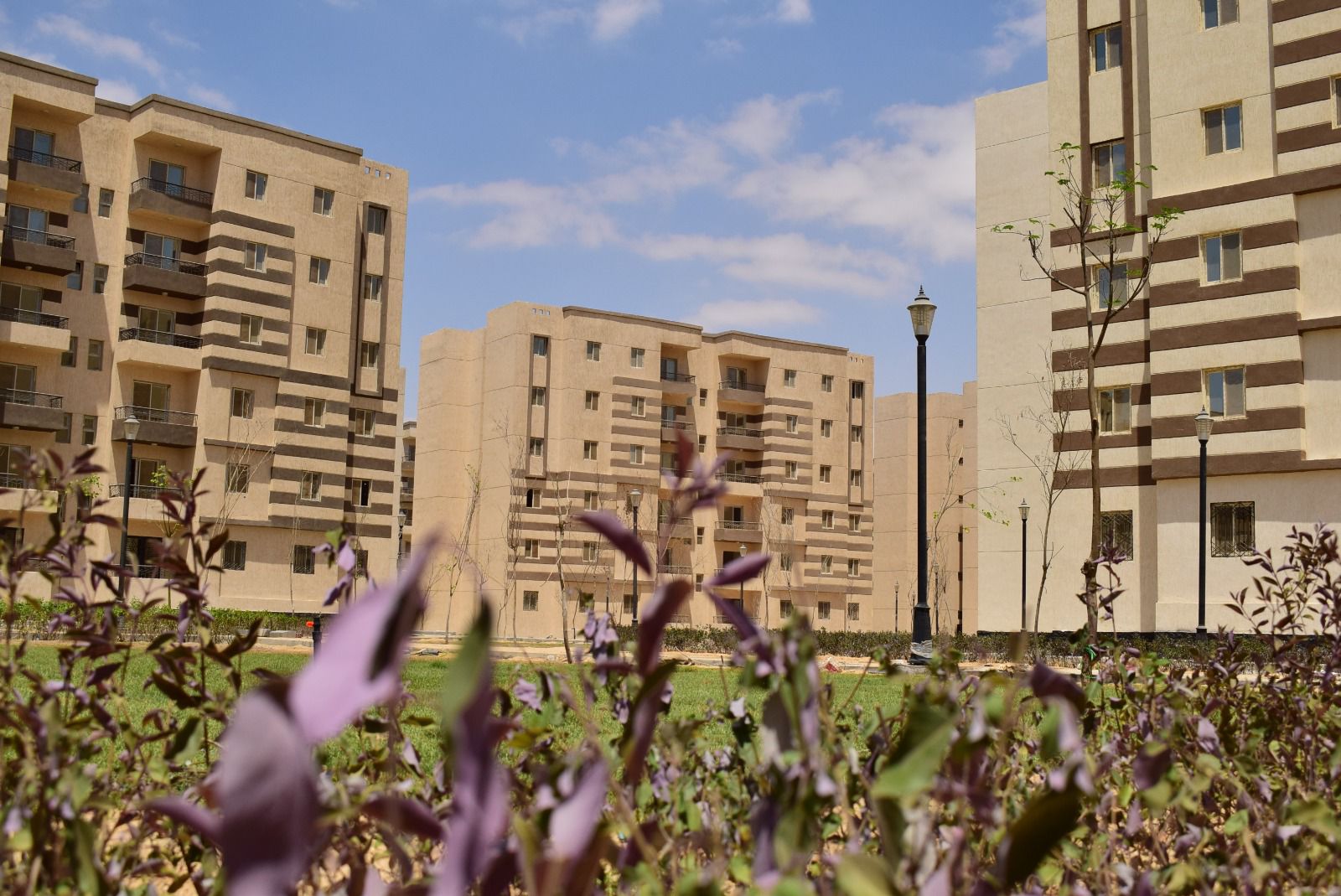 c3ad819f-d9c6-416a-8588-c3935219864e