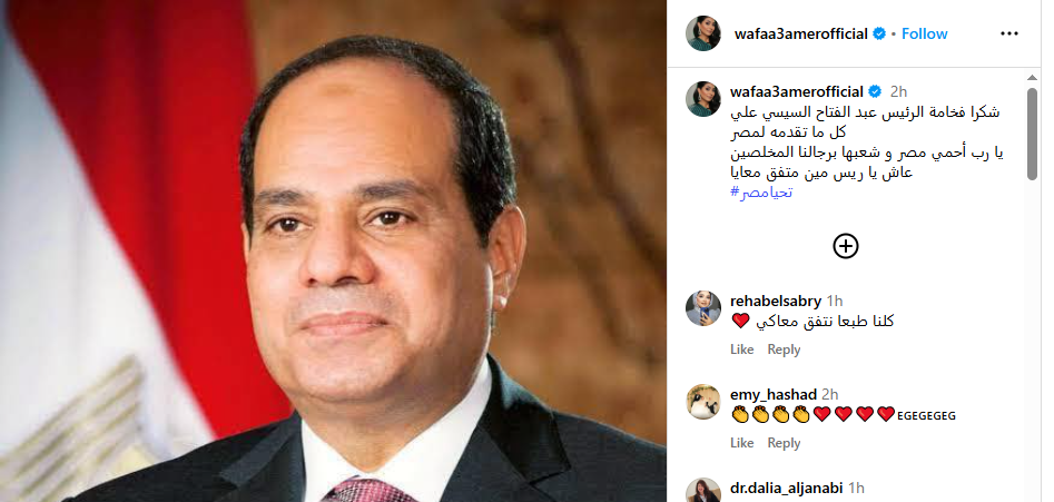 وفاء عامر