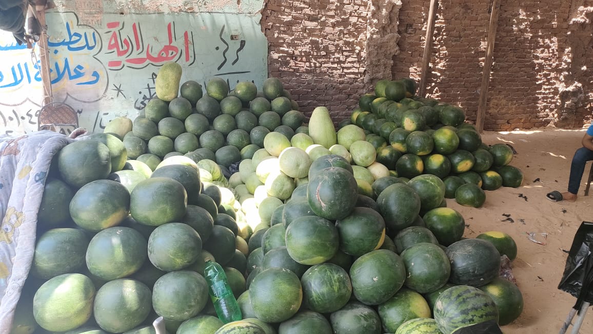 البطيخ