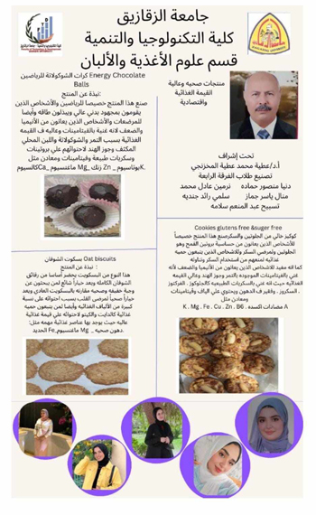 فكرة-المشروع