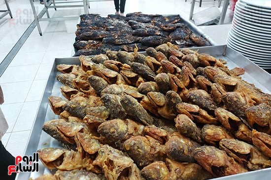 وجبة-السمك وجبة-السمك