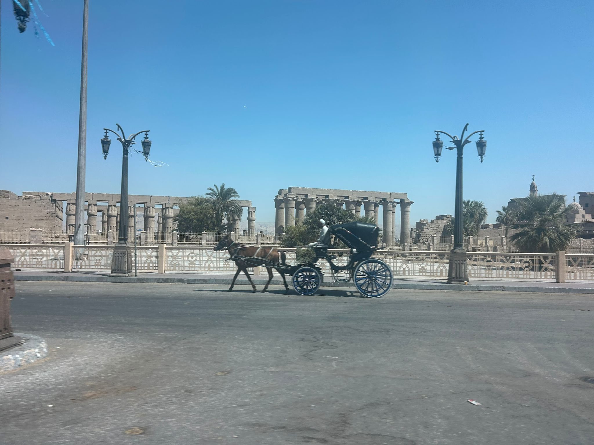 رحلات الحنطور بين المعابد وشوارع الأقصر