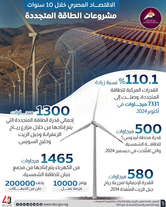الإنفوجرافات  (5)