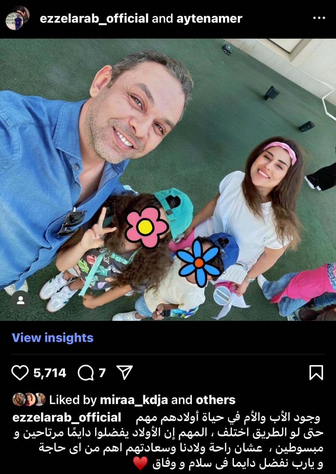 محمد عز العرب