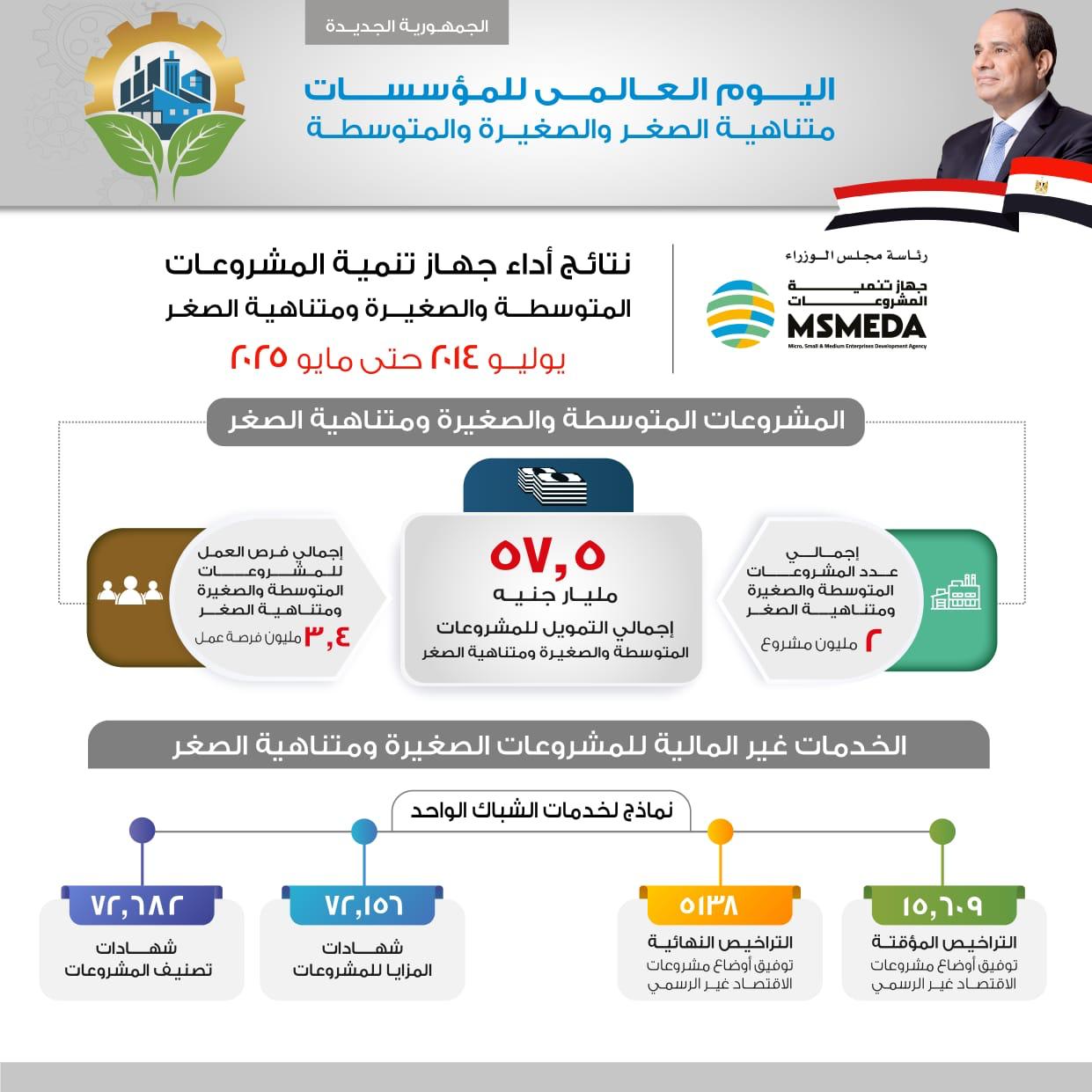 تمويلات المشروعات الصغيرة ومتناهية الصغر